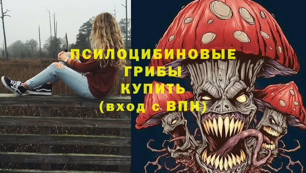 PSILOCYBIN Красноперекопск
